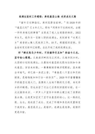 选调生驻村工作感悟：奔赴基层山海 走好成长之路