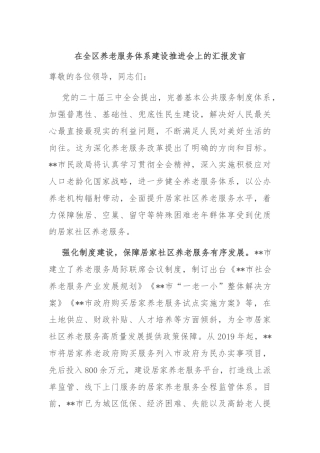 在全区养老服务体系建设推进会上的汇报发言