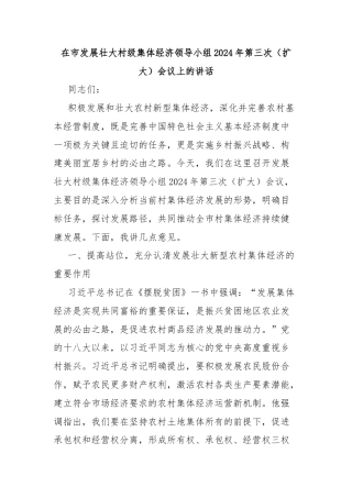 在市发展壮大村级集体经济领导小组2024年第三次（扩大）会议上的讲话