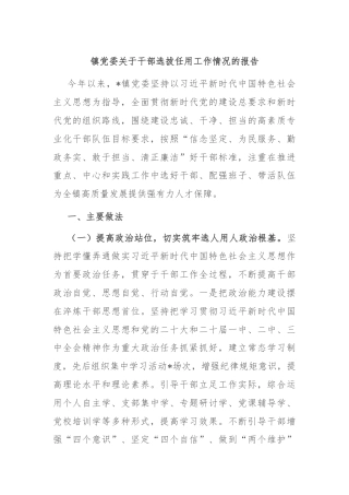 镇党委关于干部选拔任用工作情况的报告