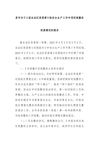 某市关于X届自治区党委第X轮安全生产工作专项巡视整改进展情况的报告