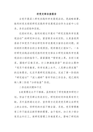 村党支部自查报告