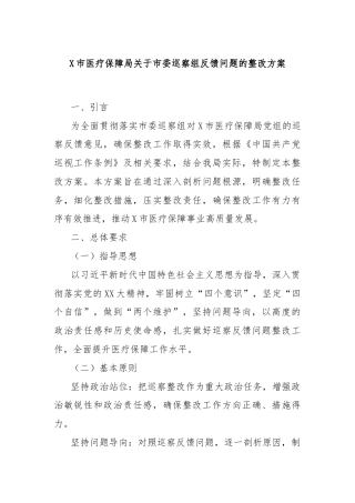 X市医疗保障局关于市委巡察组反馈问题的整改方案