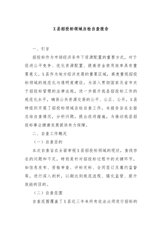 X县招投标领域自检自查报告