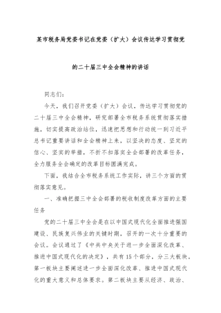 某市税务局党委书记在党委（扩大）会议传达学习贯彻党的二十届三中全会精神的讲话