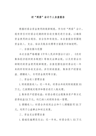 村“两委”会计个人自查报告