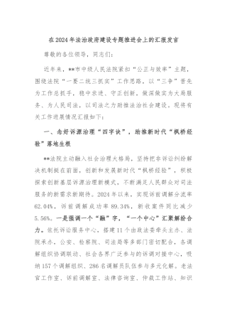 在2024年法治政府建设专题推进会上的汇报发言