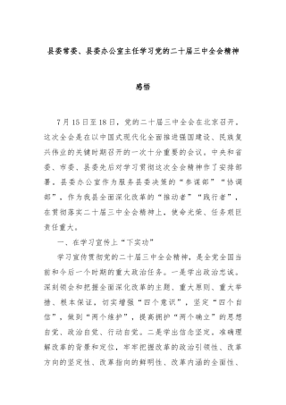 县委常委、县委办公室主任学习党的二十届三中全会精神感悟