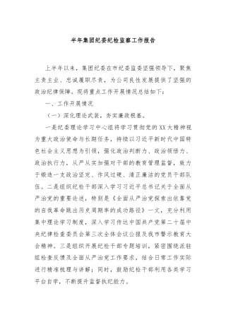 半年集团纪委纪检监察工作报告