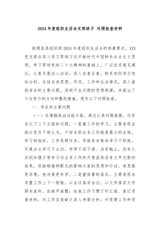 2024年度组织生活会支部班子对照检查材料