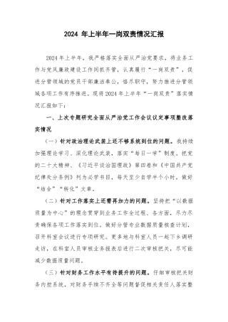 2024 年上半年一岗双责情况汇报