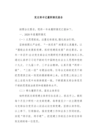 党支部书记履职情况报告