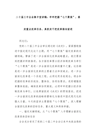 二十届三中全会集中宣讲稿：牢牢把握“七个聚焦”，落实重点改革任务，真抓实干把改革推向前进