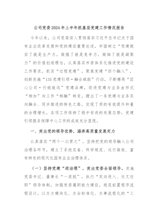 公司党委2024年上半年抓基层党建工作情况报告