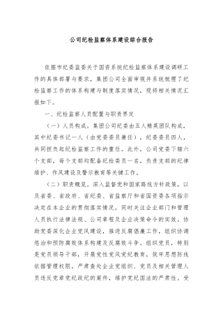 公司纪检监察体系建设综合报告