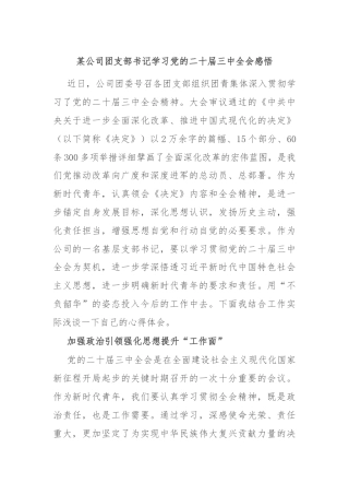 某公司团支部书记学习党的二十届三中全会感悟