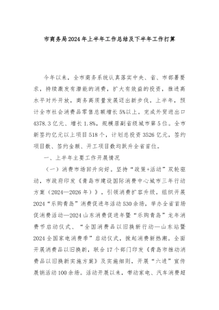 市商务局2024年上半年工作总结及下半年工作打算