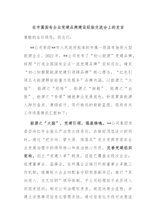 在市属国有企业党建品牌建设经验交流会上的发言