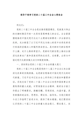 领导干部学习党的二十届三中全会心得体会