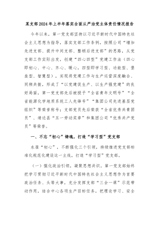 某支部2024年上半年落实全面从严治党主体责任情况报告