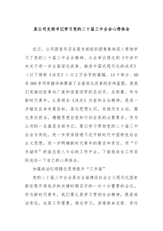 某公司支部书记学习党的二十届三中全会心得体会