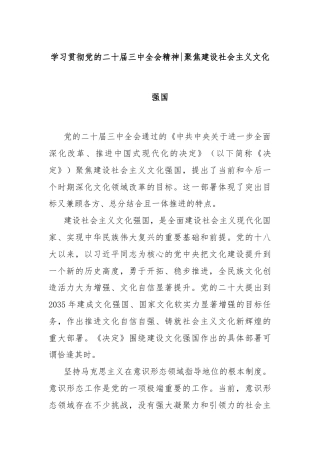 学习贯彻党的二十届三中全会精神：聚焦建设社会主义文化强国