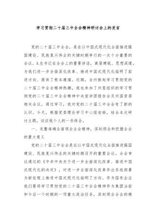学习贯彻二十届三中全会精神研讨会上的发言