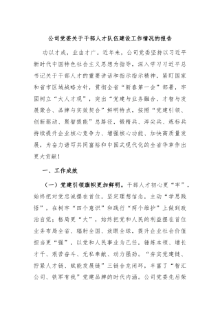 公司党委关于干部人才队伍建设工作情况的报告