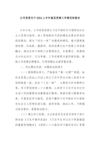 公司党委关于2024上半年基层党建工作情况的报告