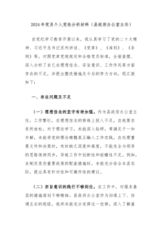 2024年党员个人党性分析材料（县政府办公室主任）