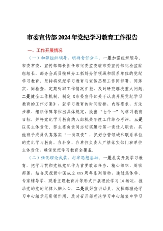 市委宣传部2024年党纪学习教育工作报告
