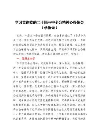 学习贯彻党的二十届三中全会精神心得体会（学悟做）