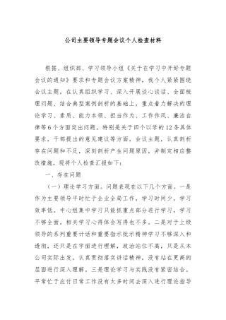 公司主要领导专题会议个人检查材料