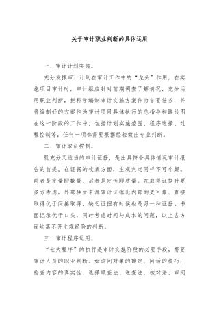 关于审计职业判断的具体运用