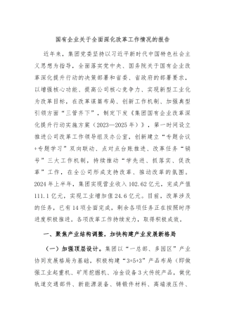国有企业关于全面深化改革工作情况的报告