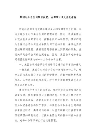 集团对分子公司项目投资，内部审计5大优化措施