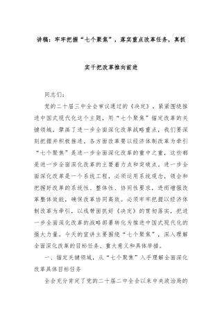 讲稿：牢牢把握“七个聚焦”，落实重点改革任务，真抓实干把改革推向前进