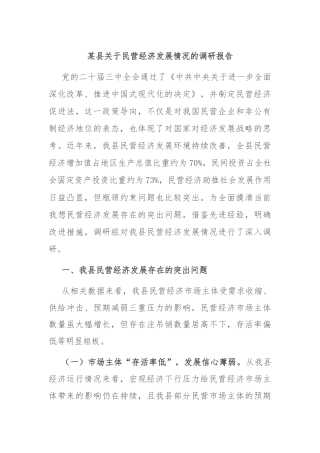 某县关于民营经济发展情况的调研报告
