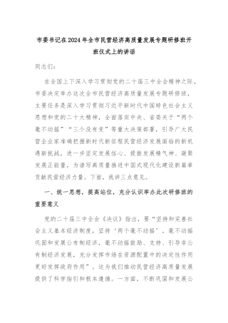 市委书记在2024年全市民营经济高质量发展专题研修班开班仪式上的讲话