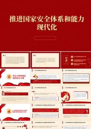 推进国家安全体系和能力现代化