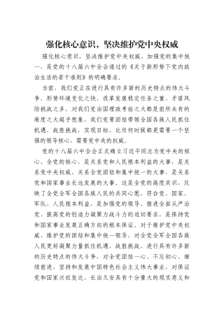 强化核心意识，坚决维护党中央权威