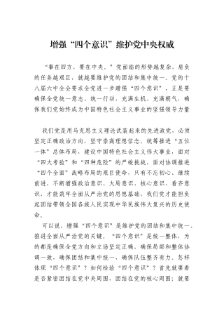 增强“四个意识”维护党中央权威