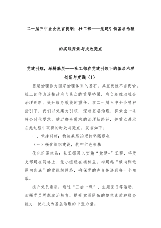 二十届三中全会发言提纲：社工部——党建引领基层治理的实践探索与成效亮点