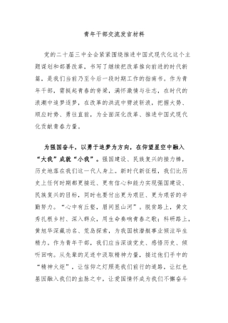 青年干部交流发言材料