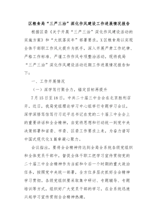 区粮食局“三严三治”深化作风建设工作进展情况报告