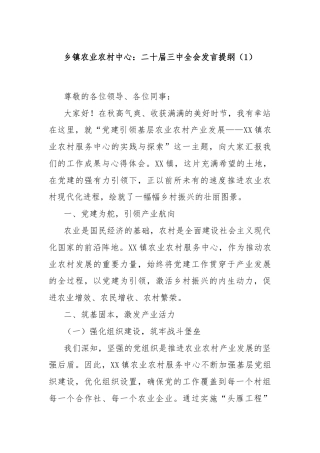 乡镇农业农村中心：二十届三中全会发言提纲（1）