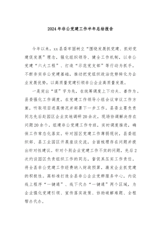 2024年非公党建工作半年总结报告