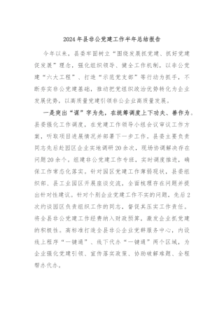 2024年县非公党建工作半年总结报告