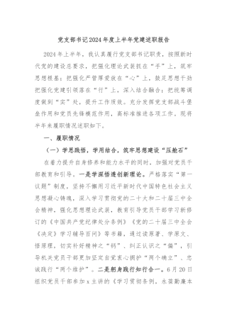 党支部书记2024年度上半年党建述职报告