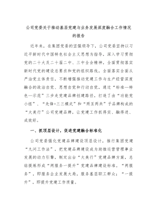 公司党委关于推动基层党建与业务发展深度融合工作情况的报告